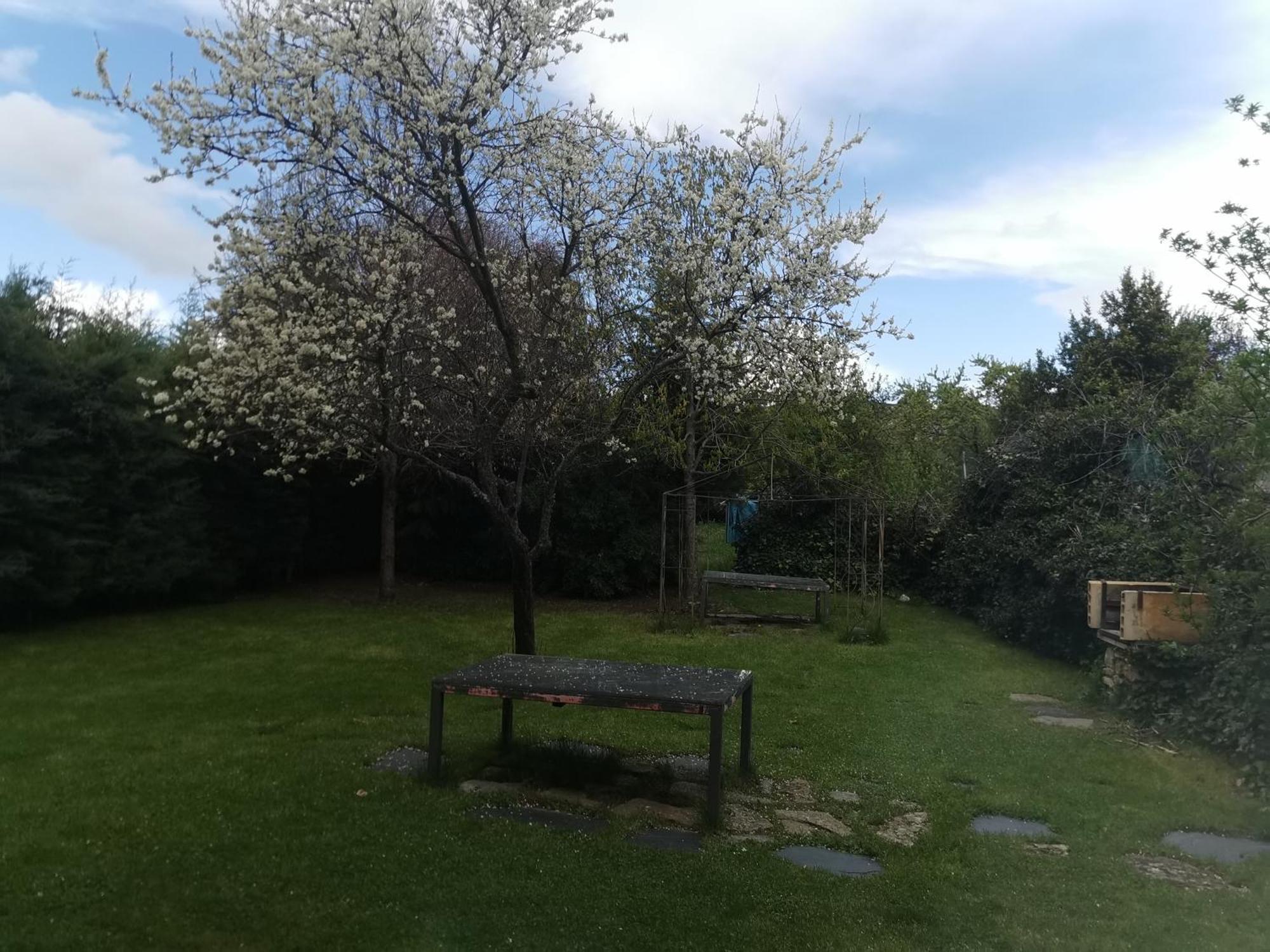 Tamajon Apartamentos Rurales Alvado מראה חיצוני תמונה